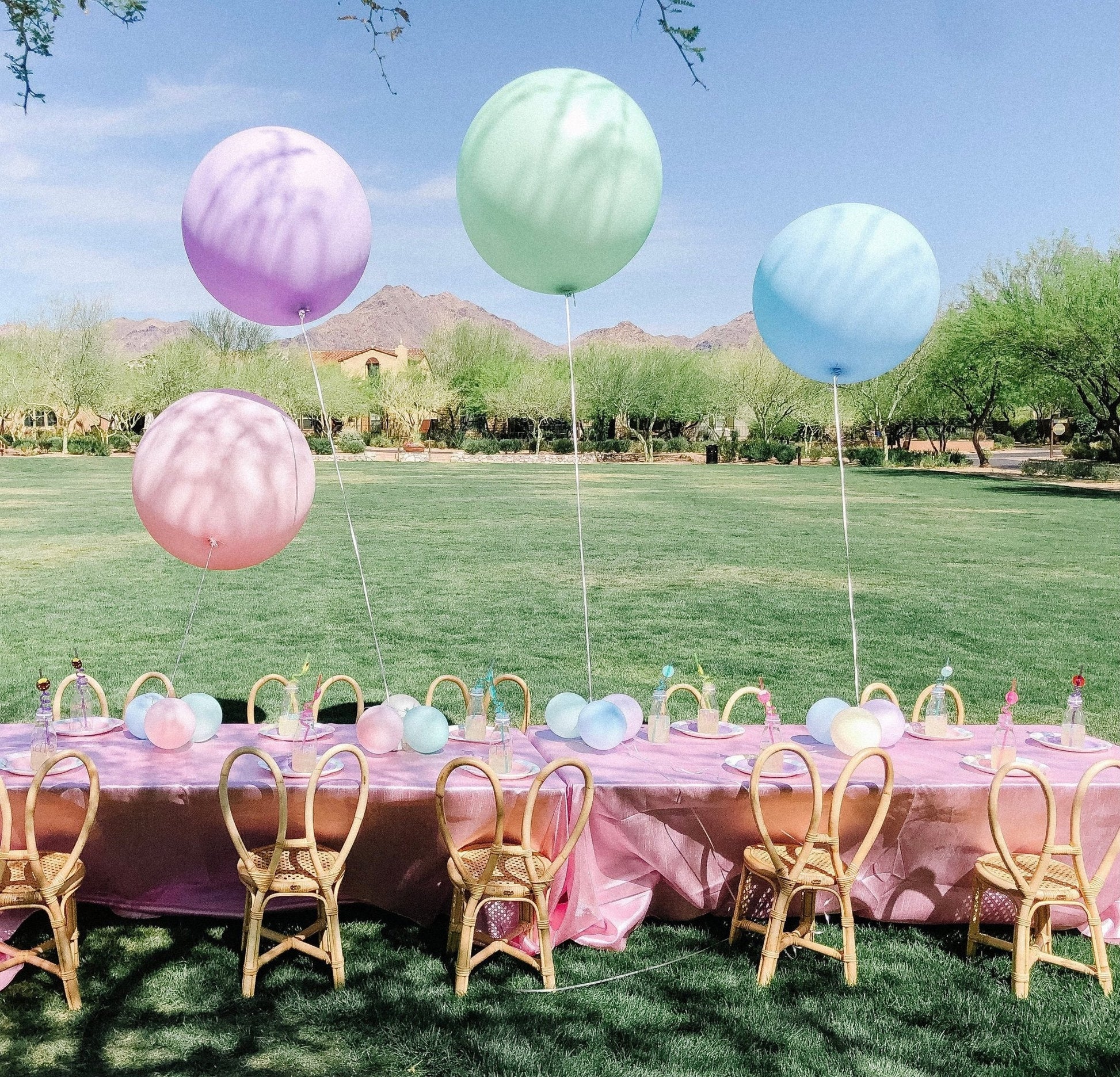 2 - Foot Giant Balloons (24 Inch) - Ellie's Party Supply