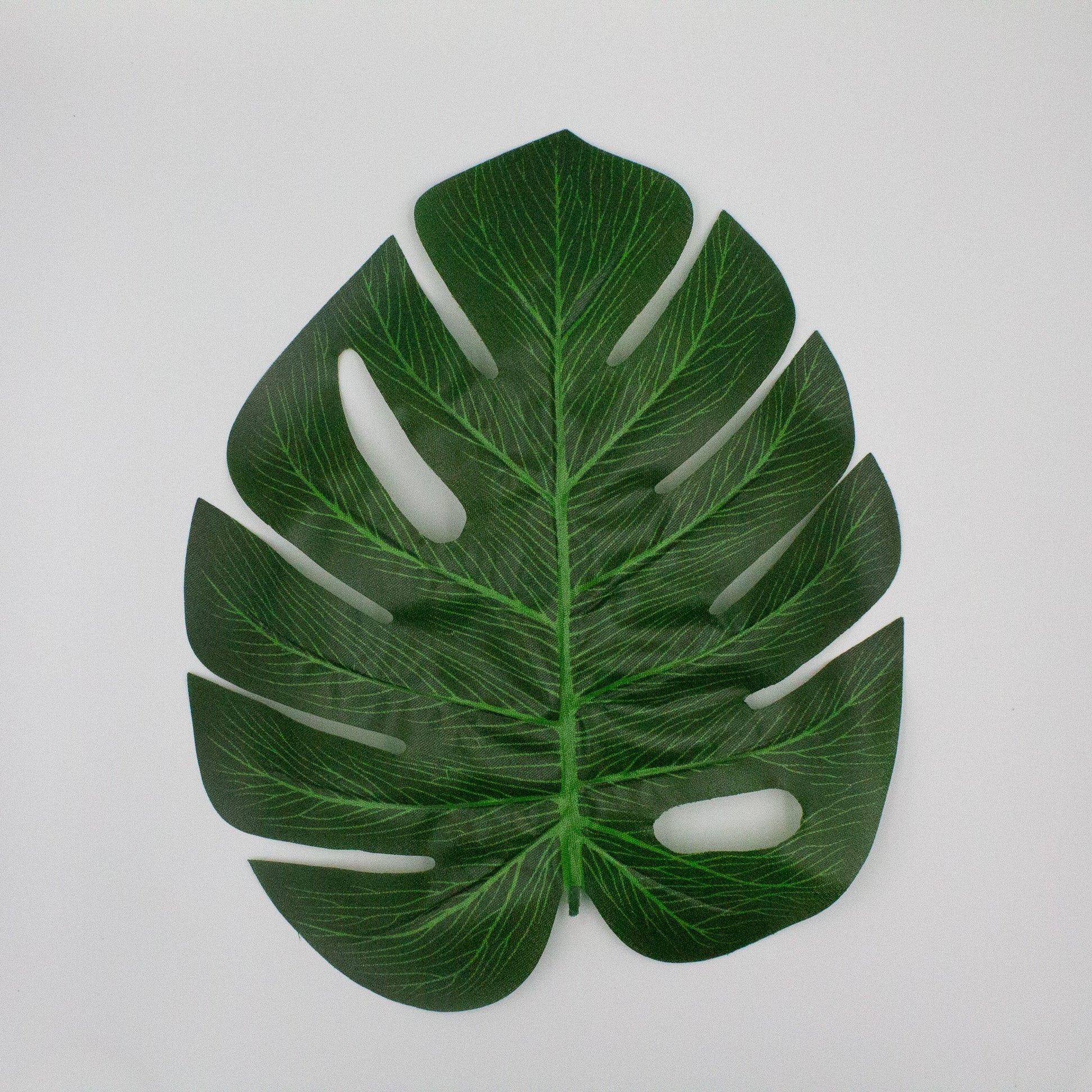 Green Monstera Tropical Leaves (12 - Pack) - Ellie's Party Supply