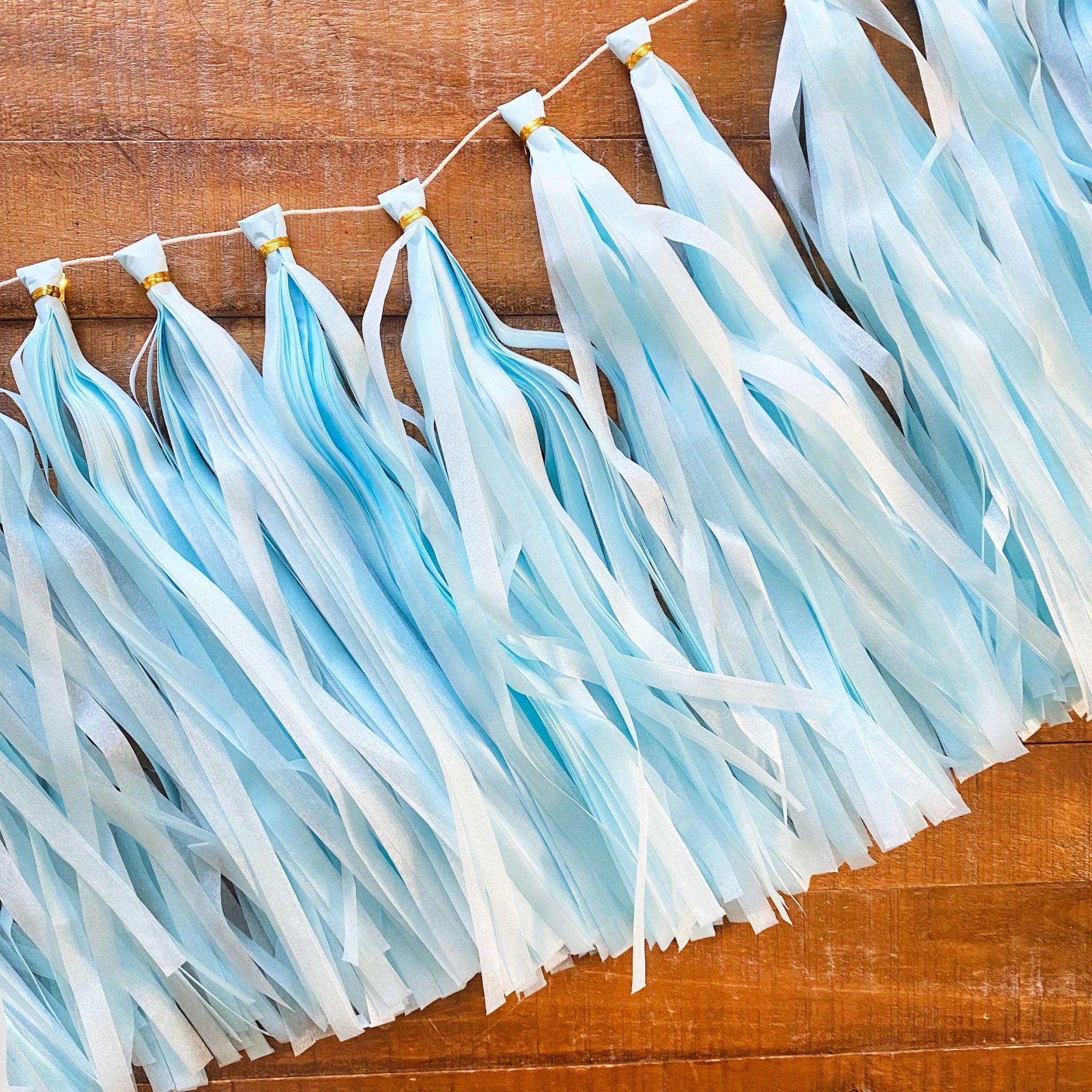 DIY Paper Tassel Kit - Tassel DIY Garland Kit - Ellie's Party Supply