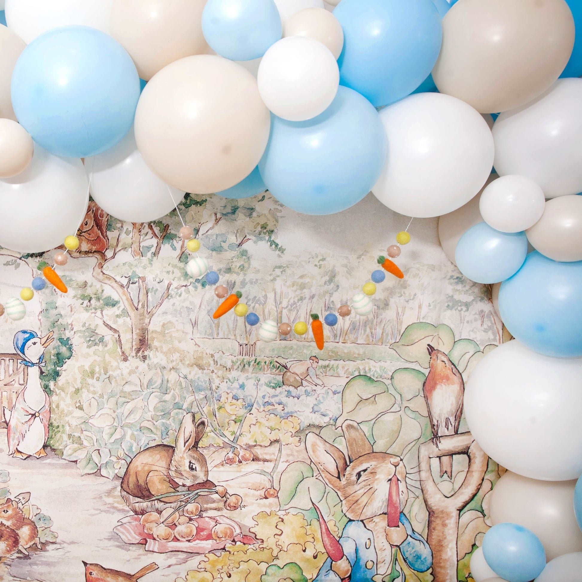 Peter Rabbit Birthday Party Balloon Decoration Set Kids Birthday