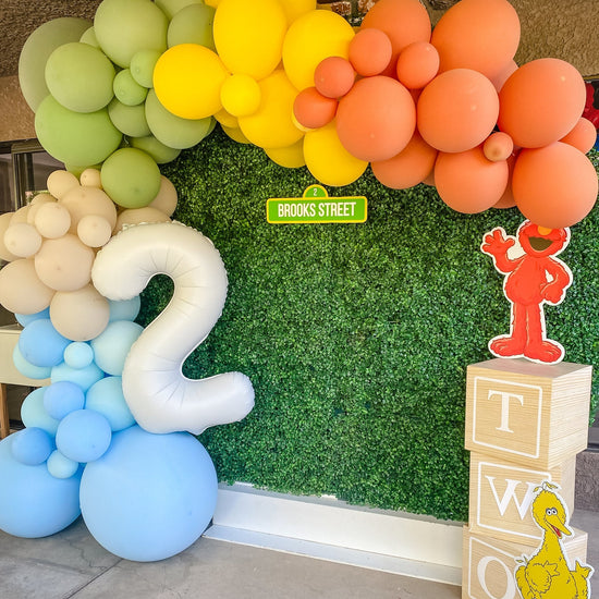 Sesame Street Balloon Arch Garland Kit from Ellie's Party Supply