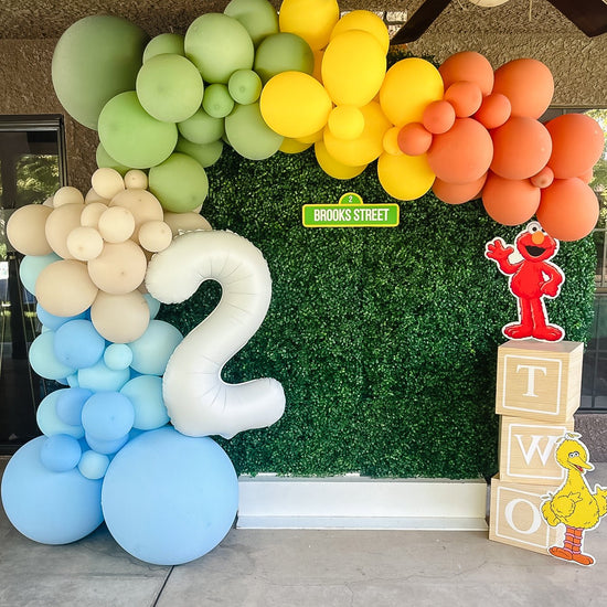 Sesame Street Balloon Arch Garland Kit from Ellie's Party Supply
